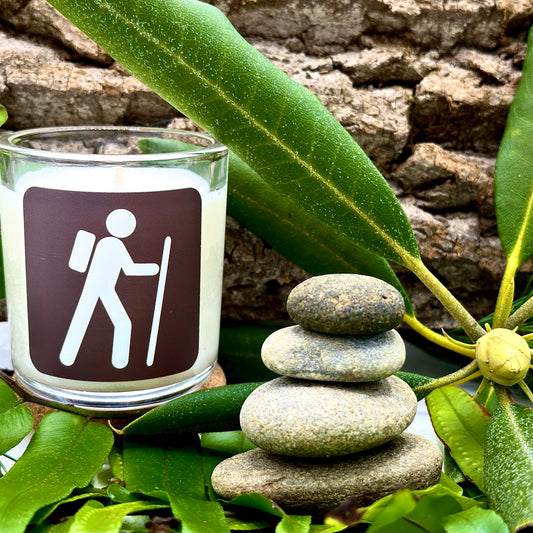 Take A Hike! Forest Luxury Candle | No. 1 - The ASHEVILLE Co.™