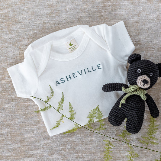 Asheville baby onesie
