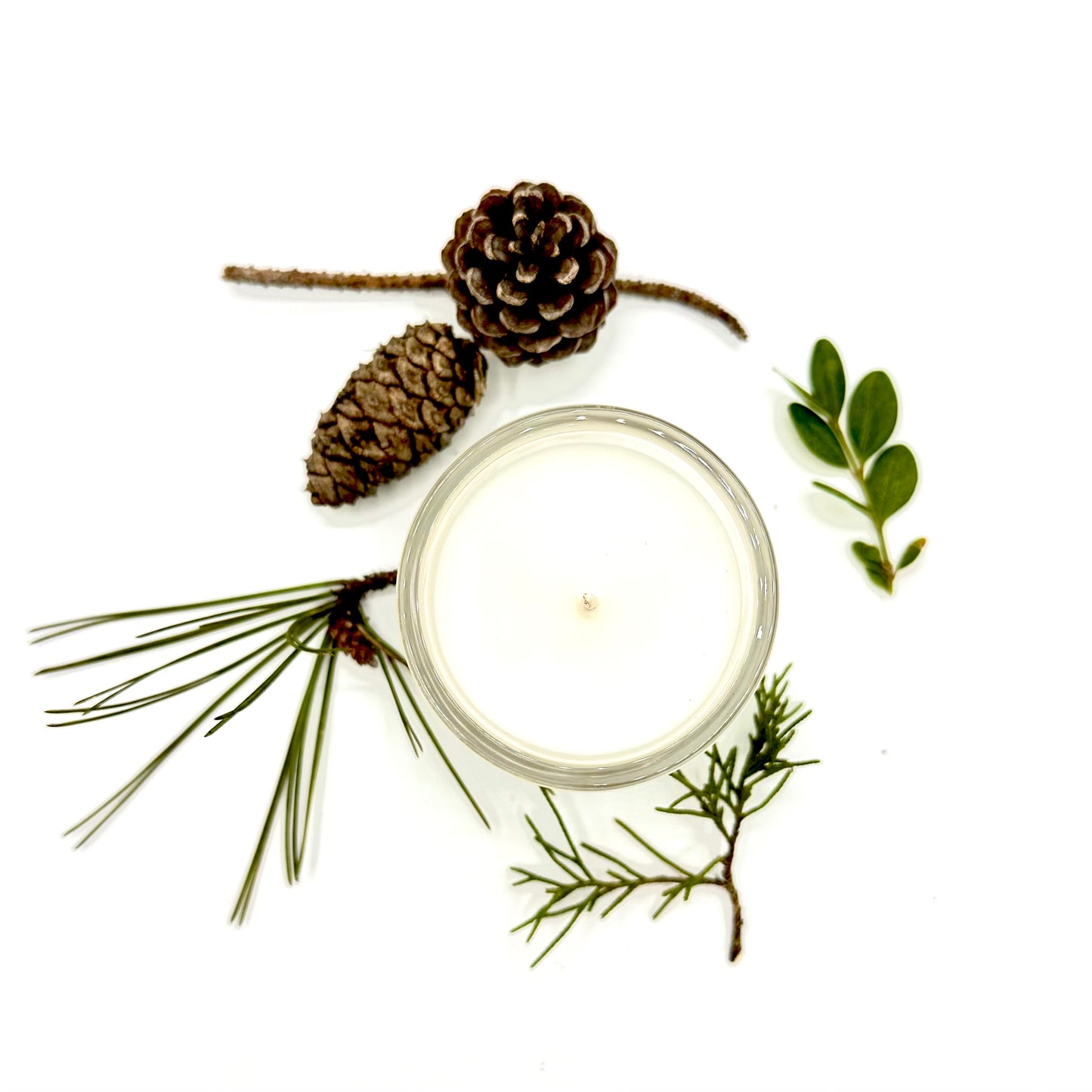 Take A Hike! Forest Luxury Candle | No. 1 - The ASHEVILLE Co.™