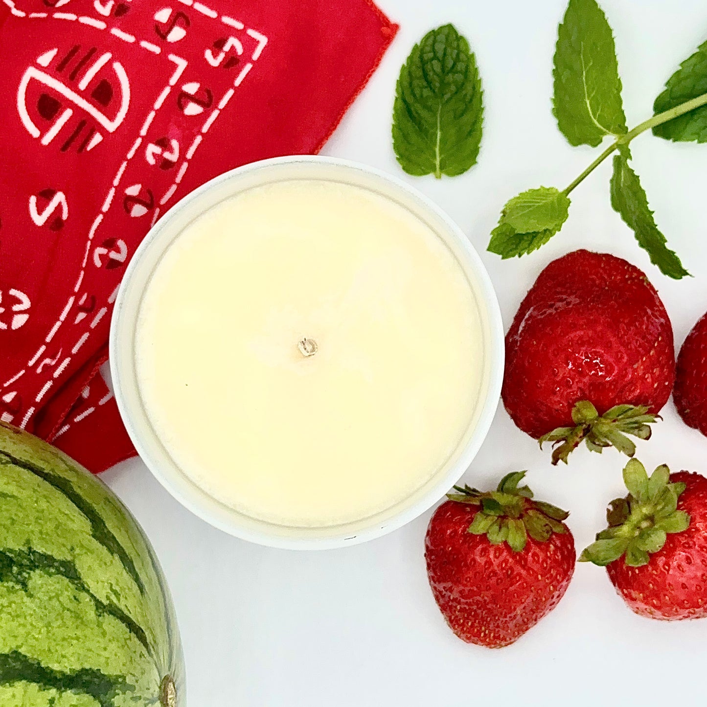 Picnic on the Parkway Fraise and Mint Luxury Candle | No. 39 - The ASHEVILLE Co.™