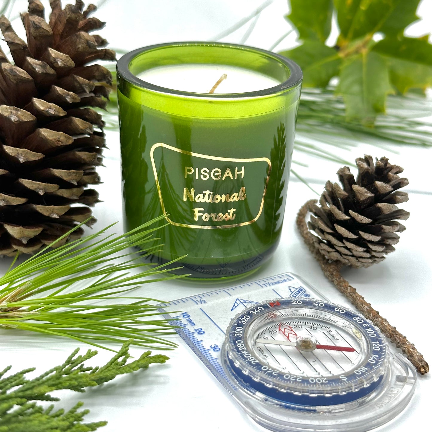 Mount Pisgah Forest Candle by The ASHEVILLE Co.™ with Pine Cone Compass Fir Tree branches