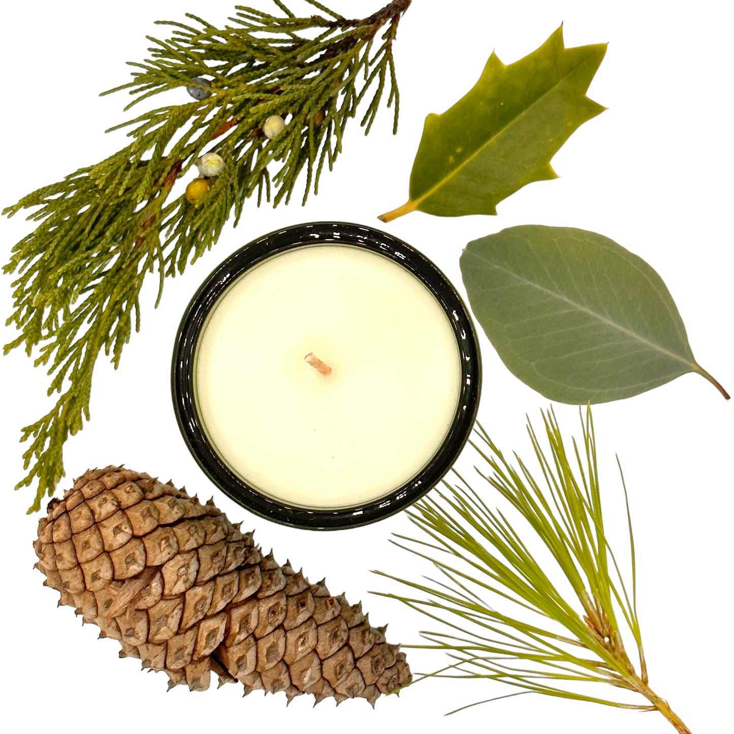 Mount Pisgah Forest Candle with Pine Cone, pine branch, Holly leaf