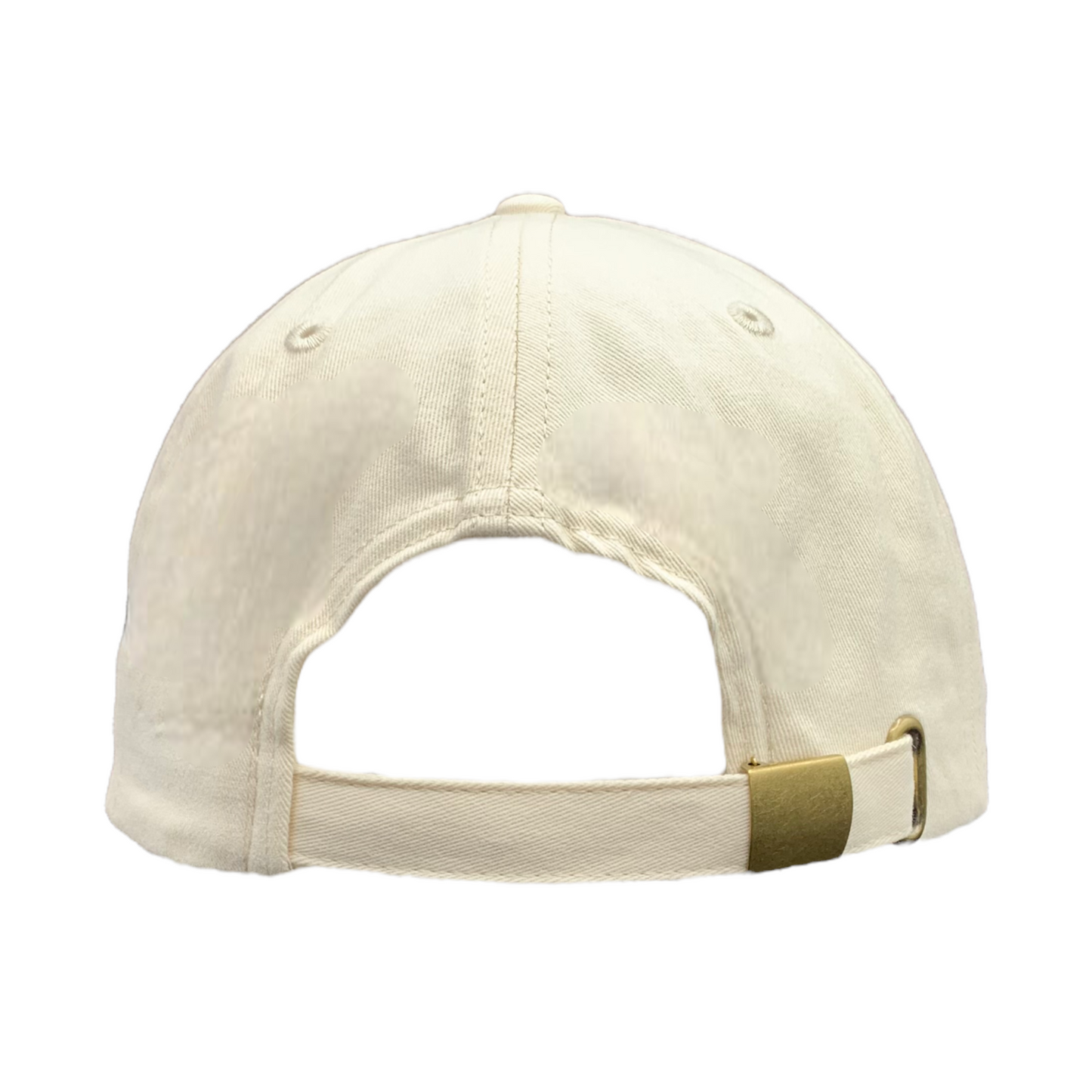 ASHEVILLE Cream Bark Baseball Hat - The ASHEVILLE Co. TM