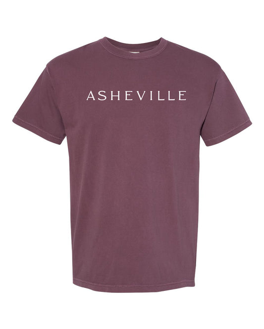 AVL Adventure T-Shirt Vineyard - The ASHEVILLE Co. TM